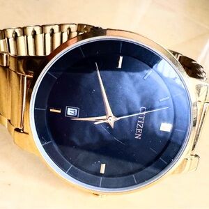 Citizen Gold Tone Black Dial  St. Steel Men's Watch G111-S101778